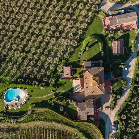 Sole Del Chianti
