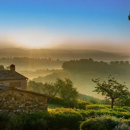 Sole Del Chianti *