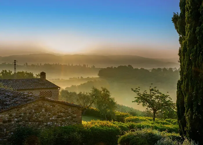 Sole Del Chianti *